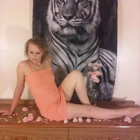 Escort Dixie / Harper in North Olmsted, OH